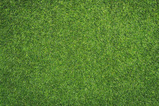 150 Sq. Yard.